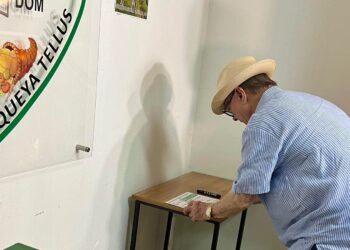 Agrónomos acuden a las urnas a votar