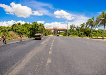 Deligne Ascención anuncia inauguración de tramo III avenida Ecológica