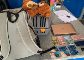 PN apresa a mujer por robo de vehículo, tarjetas bancarias y artículos electrónicos en SPM