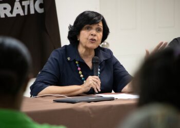 Minou Mirabal apuesta por el relevo en Opción Democrática