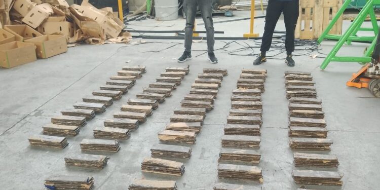 Incautan 360 láminas de presunta cocaína en carga de guineos; apresan 3 hombres en puerto manzanillo