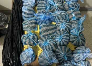 Operativos focalizados permiten ocupación de sustancias ilícitas en Villa Mella, SDN