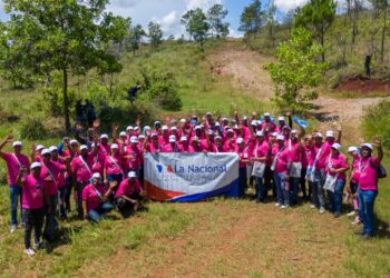 Colchonería y Mueblería La Nacional lleva jornada de reforestación en Loma Guaigüí, La Vega
