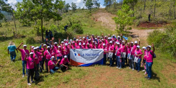 Colchonería y Mueblería La Nacional lleva jornada de reforestación en Loma Guaigüí, La Vega