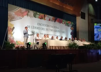 Organismos internacionales analizan desafíos para alimentar a los consumidores en  República Dominicana