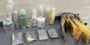 Ocupan cuatro láminas de cocaína introducidas en estuches para productos de belleza