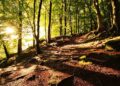 Día Mundial de la Salud Ambiental: con el objetivo de concienciar a la población de la importancia de cuidar el planeta