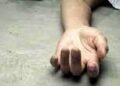 Fallece niño de 8 años por un disparo en la cabeza en una granja del norte de Inglaterra