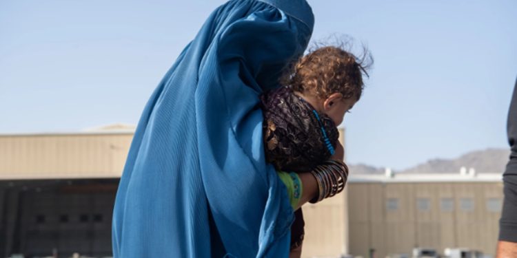 El gobierno talibán de Afganistán prohíbe a los medios publicar imágenes de seres vivos