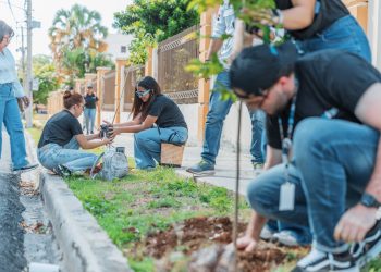 ADN desarrolla Plan de Arbolado Urbano en la Zona Universitaria