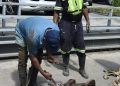CAASD mejora suministro de agua potable en Bella Vista, DN