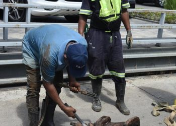 CAASD mejora suministro de agua potable en Bella Vista, DN