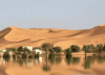 Lluvias extraordinarias revitalizan el Sahara y crean lagos entre las dunas