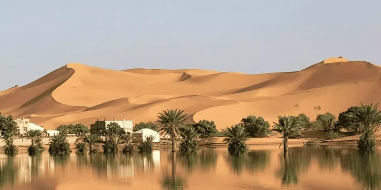 Lluvias extraordinarias revitalizan el Sahara y crean lagos entre las dunas