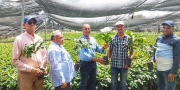 Agricultura y FECADESJ entregan material de siembra a pequeños productores de San Juan