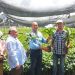 Agricultura y FECADESJ entregan material de siembra a pequeños productores de San Juan