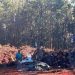 Talan cientos de árboles centenarios en Jarabacoa para construcción de una estación de combustibles