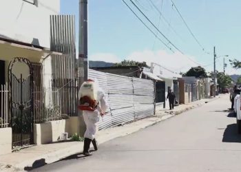 Ejecutan varios operativos de fumigación contra el dengue en Constanza