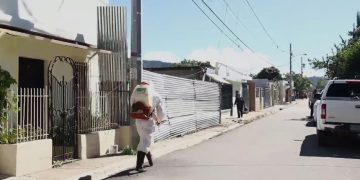 Ejecutan varios operativos de fumigación contra el dengue en Constanza