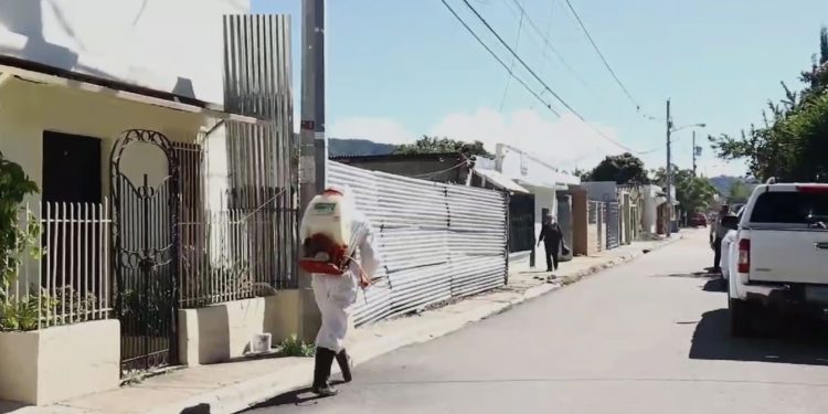 Ejecutan varios operativos de fumigación contra el dengue en Constanza