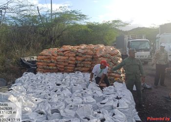 SENPA y Medio Ambiente incautan 1,200 sacos de carbón vegetal