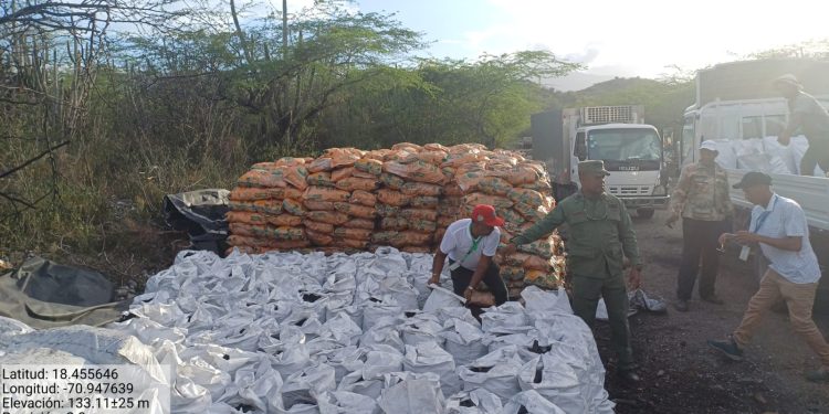 SENPA y Medio Ambiente incautan 1,200 sacos de carbón vegetal