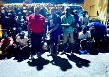 Ejército detiene camión con 38 indocumentados escondidos bajo hojas de plátano