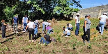 Estudiantes  ITSC participan en jornada de saneamiento y siembra en el Parque Ecológico San Isidro