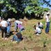 Estudiantes  ITSC participan en jornada de saneamiento y siembra en el Parque Ecológico San Isidro
