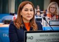 Ministra de la Mujer participa en Foro sobre Directrices Voluntarias del Comité de Seguridad Alimentaria Mundial