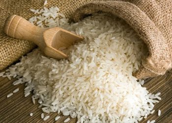 Día Internacional del Arroz