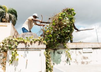 Alcaldía del DN reacondiciona cementerios por el Día de los Fieles Difuntos