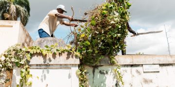Alcaldía del DN reacondiciona cementerios por el Día de los Fieles Difuntos