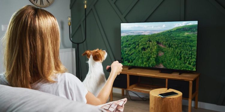 Día Mundial de la Televisión