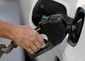 Conozca los precios para la semana del 23 al 29 de noviembre 2024