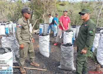 Medio Ambiente y SENPA incautan 215 sacos de carbón vegetal en Tabara Abajo