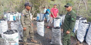 Medio Ambiente y SENPA incautan 215 sacos de carbón vegetal en Tabara Abajo