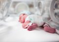 Fundación Sonrisa de Ángel realizó IV Simposio Virtual Bebés Prematuros