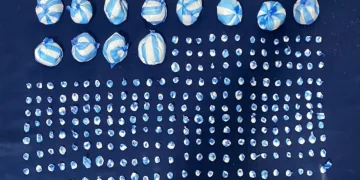 Autoridades realizan 52 allanamientos y 5 mil operativos en ofensiva contra el narcotráfico