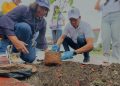 Alcaldía del DN continúa su Plan de Arbolado en Santo Domingo