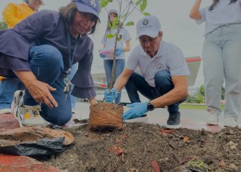 Alcaldía del DN continúa su Plan de Arbolado en Santo Domingo