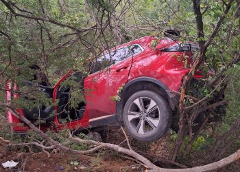 Ejército ocupa dos pacas y media de marihuana escondidas en el motor de una jeepeta en Valverde