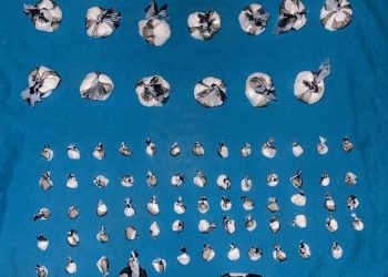 DNCD continua operativos contra del microtráfico en la provincia de San Cristóbal