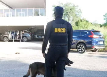 Refuerzan con más agentes y unidades caninas aeropuertos y puertos por época navideña