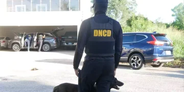 Refuerzan con más agentes y unidades caninas aeropuertos y puertos por época navideña