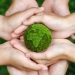 Día Mundial de la Ecología