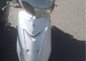 Pasola recuperada mediante acta de entrega voluntaria