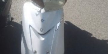 Pasola recuperada mediante acta de entrega voluntaria