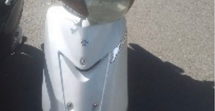 Pasola recuperada mediante acta de entrega voluntaria