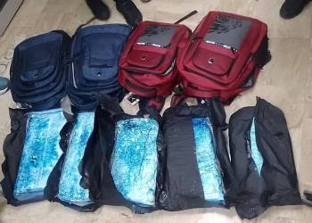 Detienen dominicano que pretendía viajar a Toronto con cinco paquetes de presumiblemente cocaína